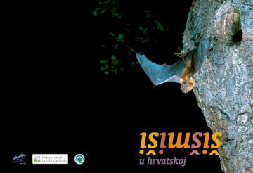 Šišmiši u Hrvatskoj