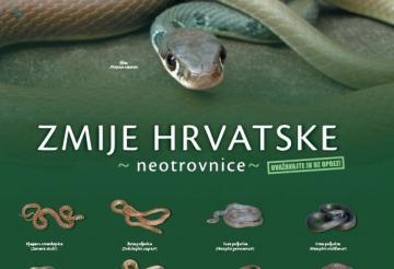 Zmije Hrvatske - Neotrovnice