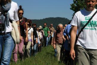 Skup stručnih službi 2011 (Foto: Arhiva MZOZT)