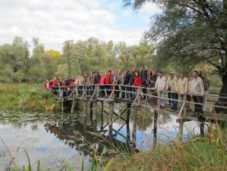 Skup stručnih službi 2013 (Foto: Arhiva MZOZT)