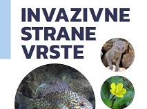 Invazivne strane vrste