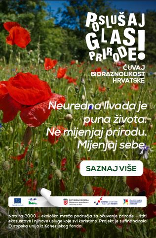 Neuredna livada je puna života