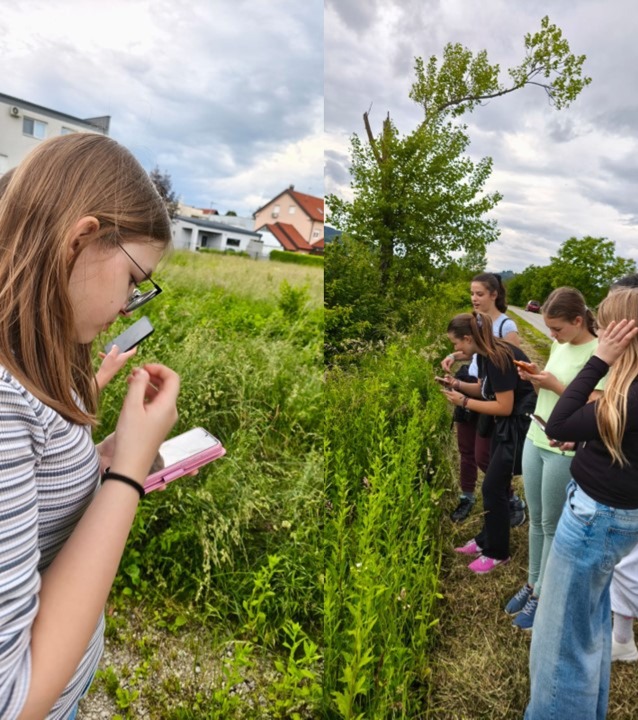 4. Alien Bioblitz 2025.