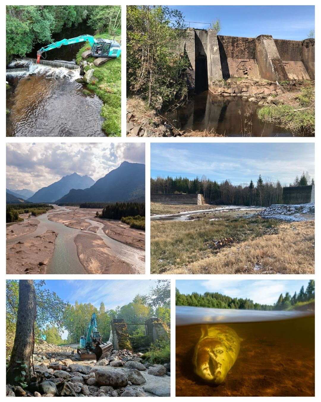 Uklonjeno 500 prepreka IRL