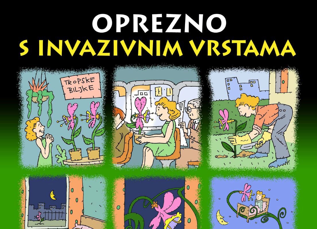 Valerija i njena nova biljka