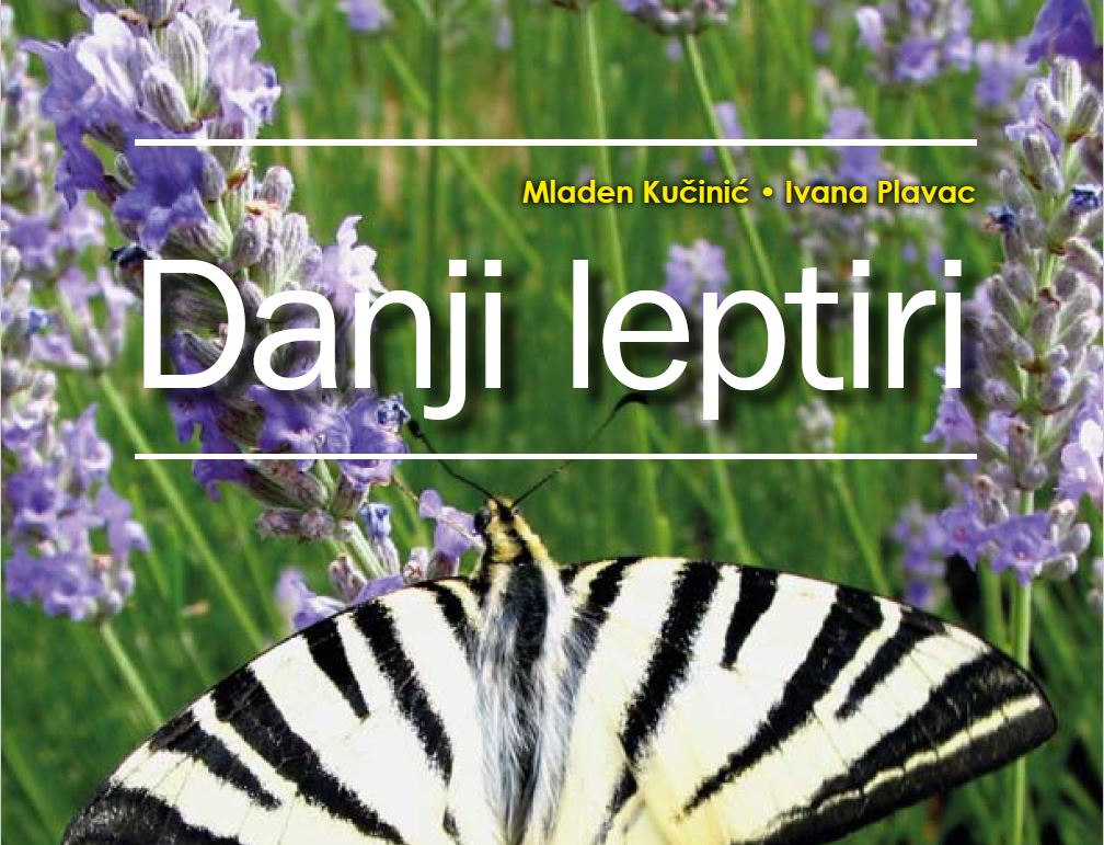Kucinic-Danji_leptiri_Prirucnik