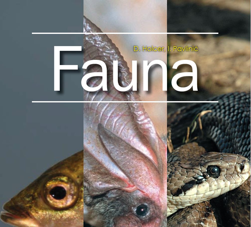 Holcer-Fauna_prirucnik