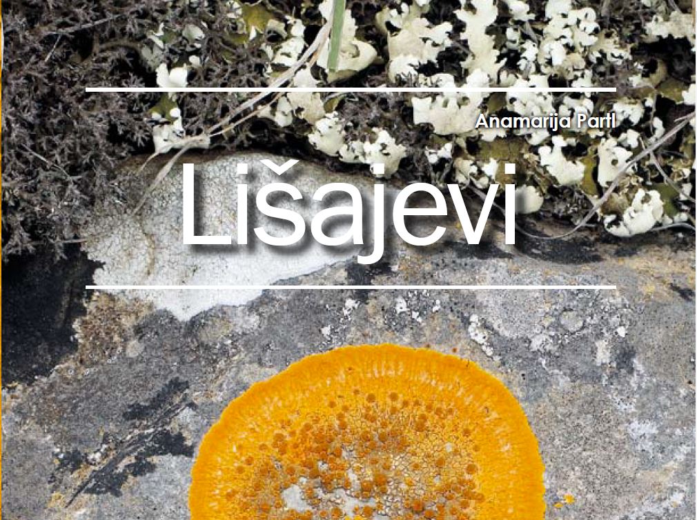 Partl-Lisajevi_Prirucnik