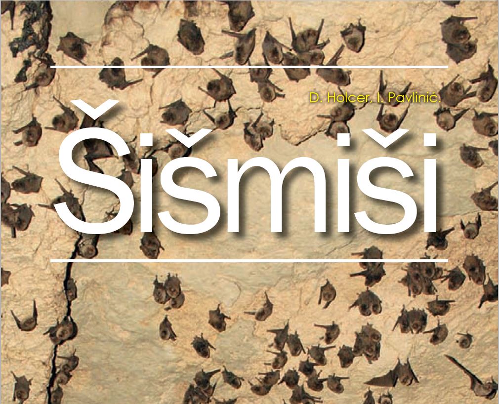 Holcer-Sismisi_prirucnik