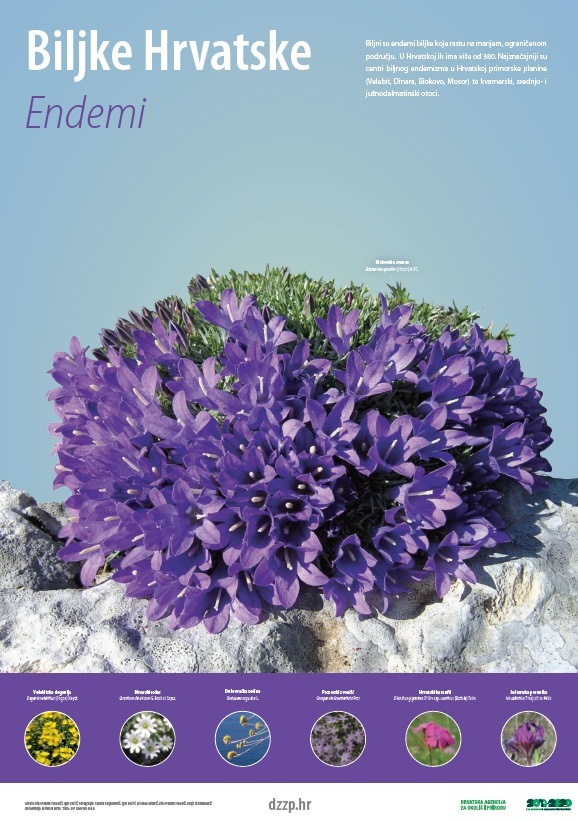 biljke Hrvatske - endemi